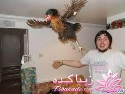 ضایع ترین عکسای پروفایل پسرا